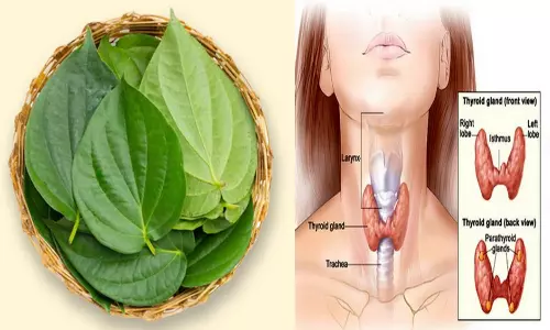 தைராய்டு பிரச்சனைகளை தீர்க்கும் வெற்றிலை பாக்கு