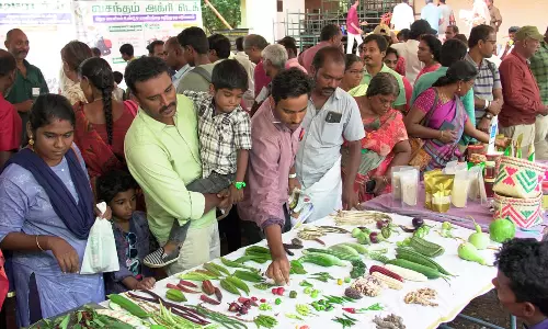 ஈஷா மண் காப்போம் இயக்கம் சார்பில் பாரத பாரம்பரிய நெல் & உணவு திருவிழா- ஆயிரக்கணக்கானோர் பங்கேற்பு