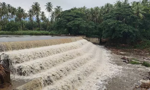 சுருளி அருவியில் ஏற்பட்டுள்ள வெள்ளப்பெருக்கு.