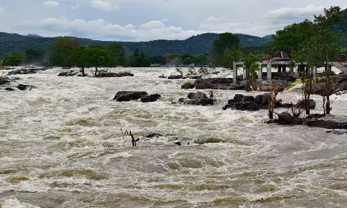 ஒகேனக்கல்லில் வெள்ள பெருக்கு ஏற்பட்டு காவிரி ஆற்றில் தண்ணீர் சீறிபாய்ந்து செல்வதை படத்தில் காணலாம்.