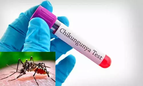 தமிழ்நாட்டில் மீண்டும் பரவும் சிக்குன் குனியா காய்ச்சல்