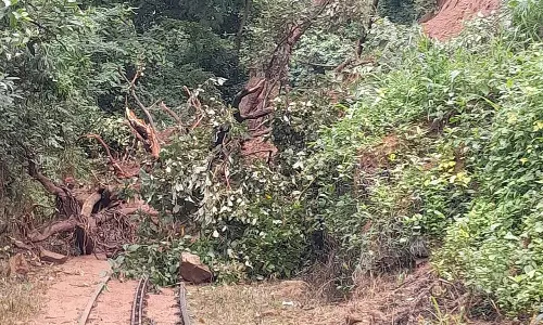 நீலகிரியில் விடிய விடிய மழை: மேட்டுப்பாளையம்-குன்னூர் மலை ரெயில் இன்று ரத்து