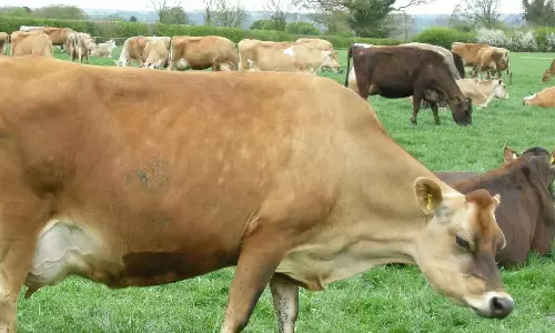 கெட்டதையும் நல்லதாக்கலாம்!