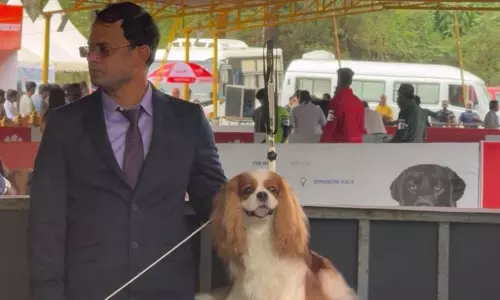 2-வது நாளாக இன்றும் கொடைக்கானலில் தேசிய நாய்கள் கண்காட்சி
