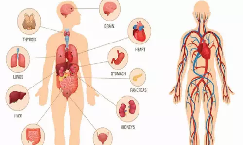 நரம்புகளின் உறுதியே இளமையின் ரகசியம்!