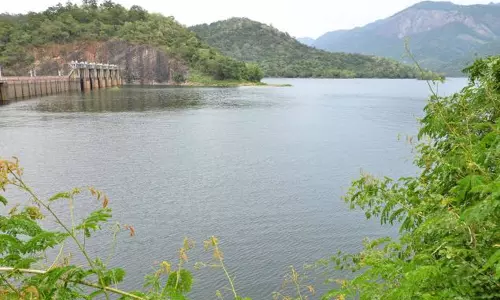 தினமும் தலா 1 அடி குறையும் பாபநாசம், சேர்வலாறு அணைகளின் நீர்மட்டம்