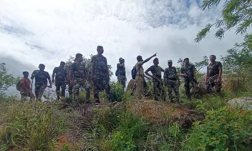 தமிழக-கர்நாடக எல்லை வனப்பகுதியில் மாவோயிஸ்ட் தடுப்பு போலீசார் தேடுதல் வேட்டை