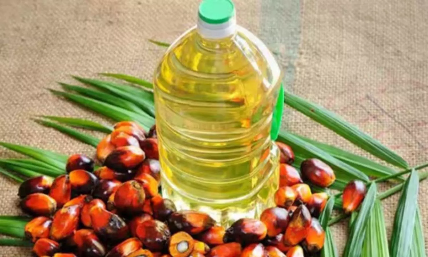 பாமாயிலில் இருக்கும் ஆபத்து: ஆய்வுகள் சொல்லும் உண்மை!