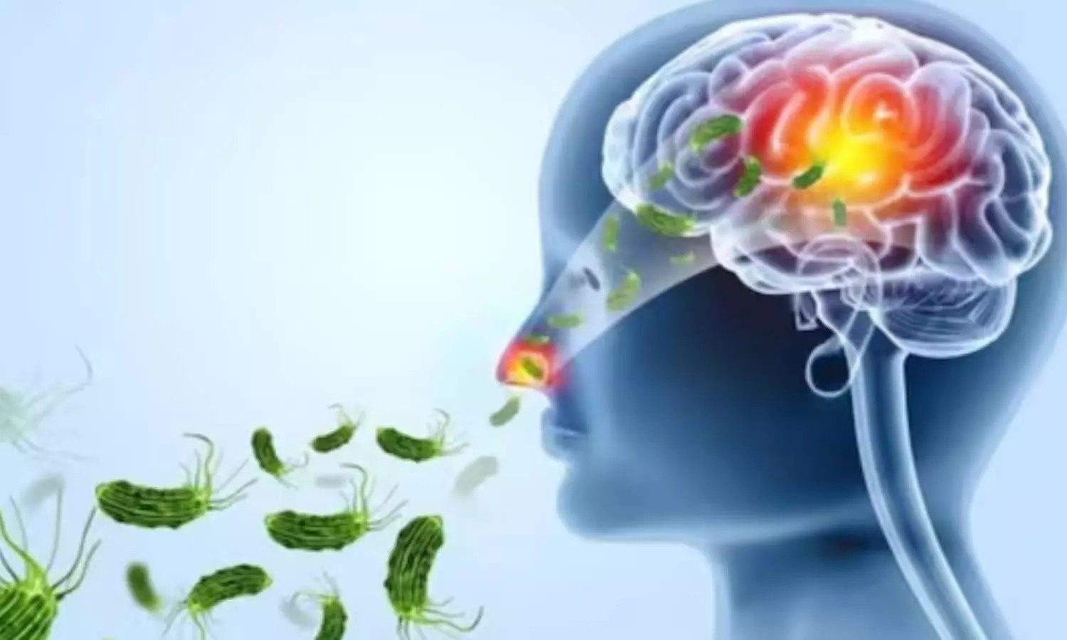 கேரளாவில் மேலும் 6 பேருக்கு அமீபிக் மூளைக்காய்ச்சல்: பாதிப்பு 15 ஆக உயர்வு கேரளாவில் மேலும் 6 பேருக்கு அமீபிக் மூளைக்காய்ச்சல்: பாதிப்பு 15 ஆக உயர்வு