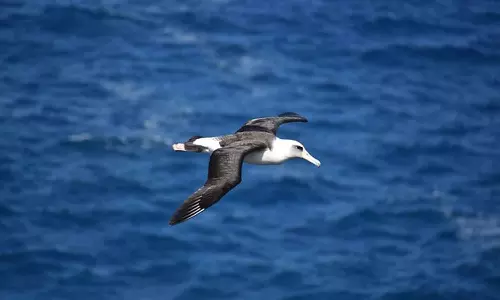 எல்லாம் வானிலே..!