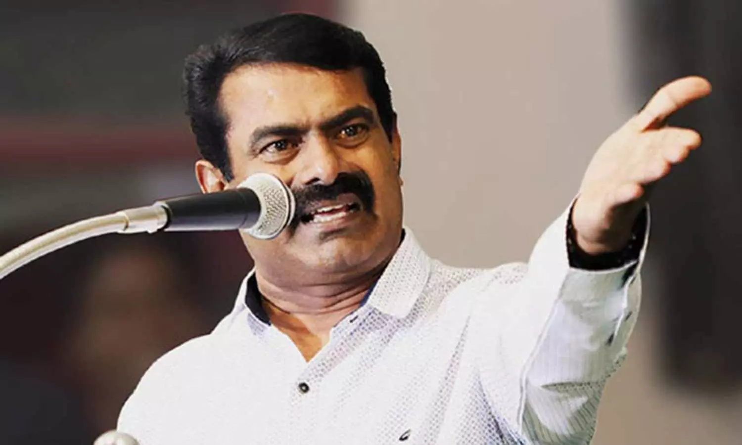 திமுக தான் பாஜகவின் மெயின் டீம்- சீமான் விமர்சனம், DMK is BJP's main team -  Seeman reviews