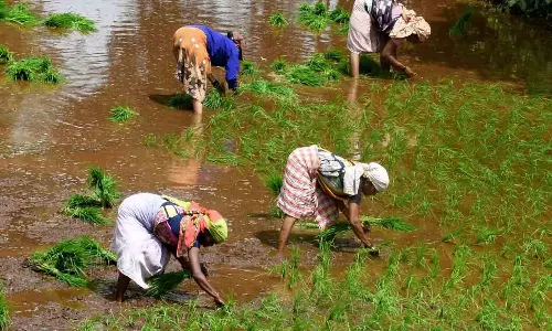 பெரியாறு அணை குறித்து வதந்தி: தமிழக விவசாயிகள் நாளை முற்றுகை போராட்டம்