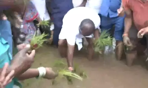 விவசாயிகளுடன் வயலில் இறங்கி நாற்று நட்ட குமாரசாமி