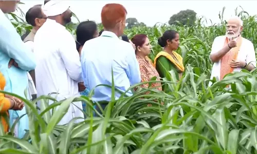 அதிக மகசூல் தரக்கூடிய 109 புதிய பயிர் ரக விதைகளை அறிமுகம் செய்தார் பிரதமர் மோடி