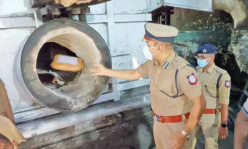 தஞ்சை மாவட்டத்தில் பறிமுதல் செய்யப்பட்ட 1145 கிலோ கஞ்சா அழிப்பு