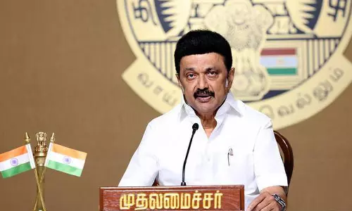 யானைகளின் எண்ணிக்கை சீராக உயர்ந்து வருகிறது- முதலமைச்சர் மு.க.ஸ்டாலின்