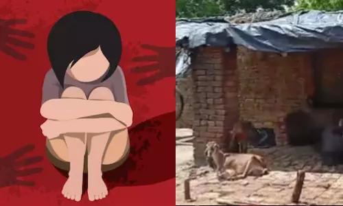 6 வயது சிறுமியையும் ஆட்டையும்  பலாத்காரம் செய்த அரசு ஊழியர்.. வீடியோ எடுத்த பக்கத்து வீட்டு நபர்