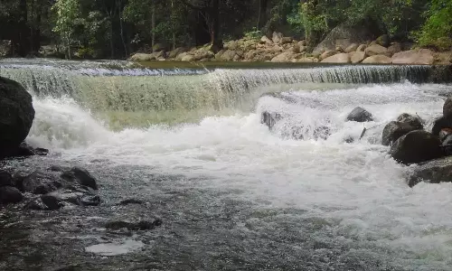 களக்காடு தலையணை செல்ல சுற்றுலா பயணிகளுக்கு தடை