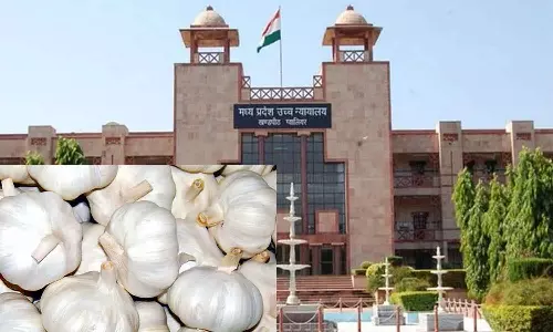 பூண்டு - காய்கறியா? மசாலா பொருளா? - நீதிமன்ற தீர்ப்பு சொல்வது என்ன?