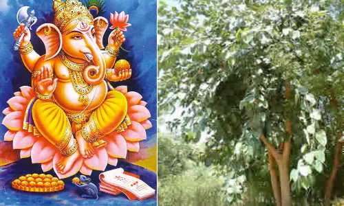 வாழ்க்கையை வளமாக்கும் கனியை கையில் ஏந்திய விநாயகர்