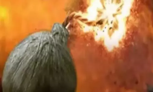 திமுக பிரமுகர் வீடு உள்பட 2 இடங்களில் நாட்டு வெடிகுண்டு வீச்சு