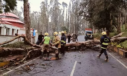 குன்னூரில் பலத்த மழை: சாலையில் மரம் விழுந்து போக்குவரத்து பாதிப்பு