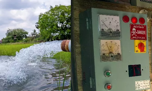 விவசாய பயன்பாட்டில் அல்லாத இலவச மின் இணைப்புகளை கணக்கெடுக்க உத்தரவு