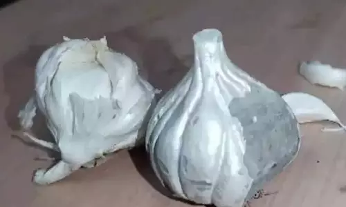 சந்தையில் விற்பனையாகும் சிமெண்ட் பூண்டு.. பொதுமக்கள் அதிர்ச்சி