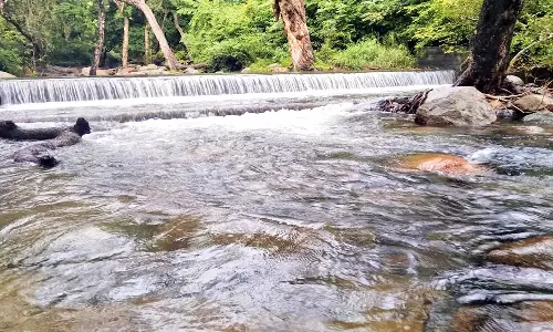 நம்பியாற்றில் வெள்ளம்: திருமலைநம்பி கோவிலுக்கு செல்ல தடை