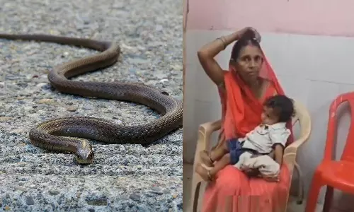 பொம்மைக்கு பதில் பாம்பை கடித்த 1 வயது குழந்தை.. பாம்பு உயிரிழப்பு
