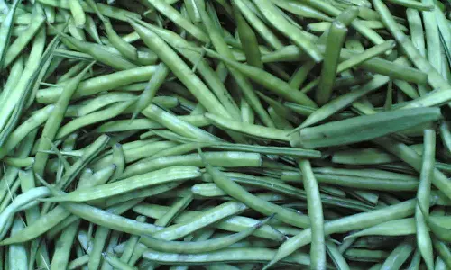 கொத்தவரையில் கொத்தாக பலன்!