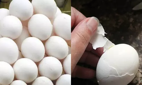 சத்துணவு மையங்களுக்கு அவித்த முட்டைகளை உரிக்கும் எந்திரம்- விரைவில் பயன்பாட்டுக்கு வருகிறது