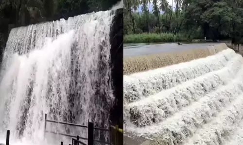 மேற்கு தொடர்ச்சி மலைப்பகுதியில் கனமழை: அருவிகளில் வெள்ளப்பெருக்கு