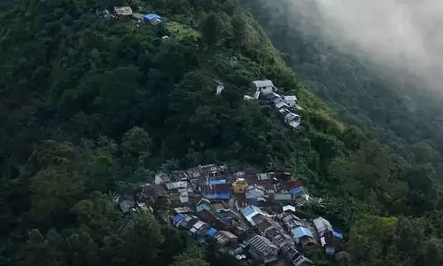 கோடை தந்த கொடைக்கானல்