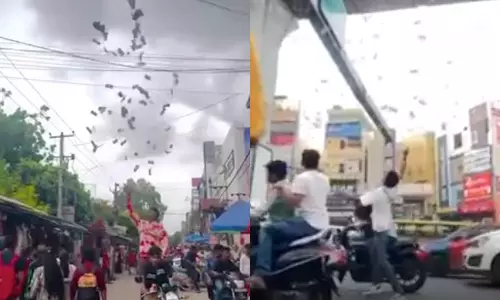 சாலையில் ரூபாய் நோட்டுகளை பறக்க விட்ட யூடியூபர்- வீடியோ வைரல்