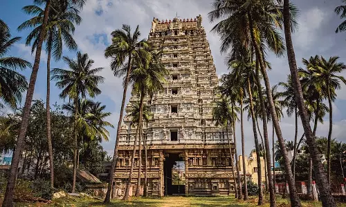 நின்ற கோலத்தில் அருள்பாளிக்கும் திரிபுரசுந்தரி