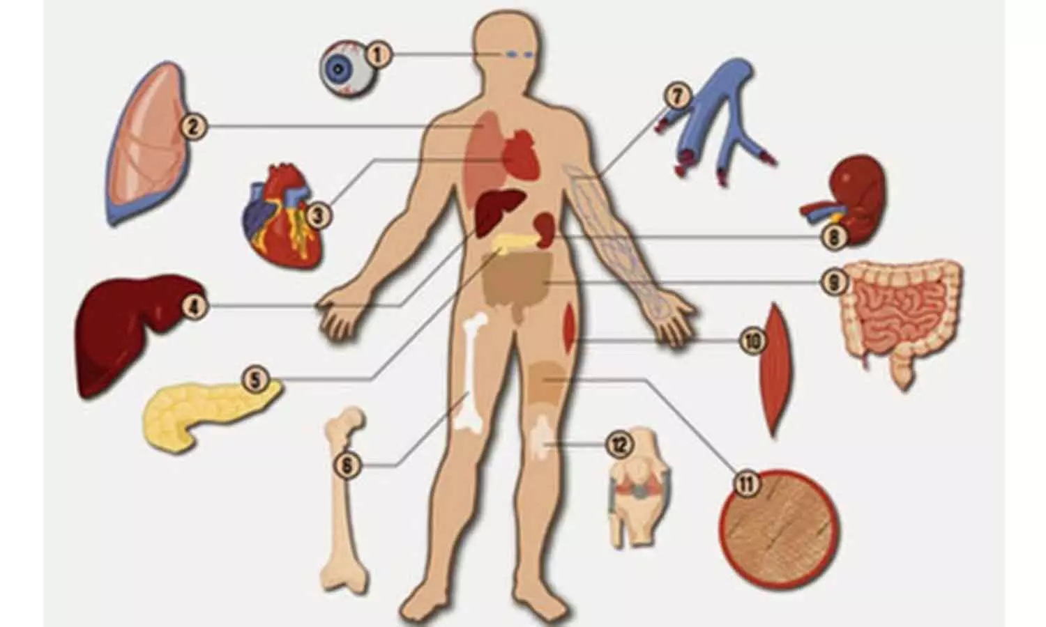 உறுப்பு தானம் அறிவோம் உறுப்பு தானம் அறிவோம்