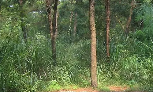 அதுபோல் இருக்கணும்..!