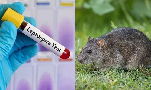 எலிக்காய்ச்சலுக்கு 121 பேர் பலி- பொதுமக்கள் விழிப்புடன் இருக்க அறிவுறுத்தல்