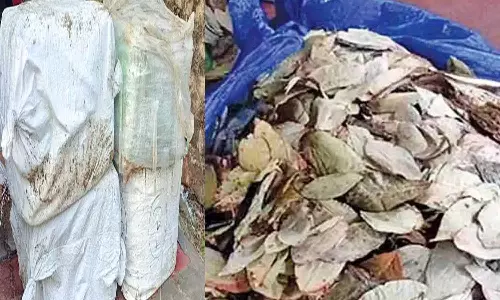 தூத்துக்குடியில் இருந்து இலங்கைக்கு கடத்த முயன்ற பீடி இலை மூட்டைகள் பறிமுதல்