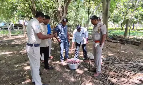 மாட்டு கொழுப்புக்குள் பதுக்கி வைத்த 29 நாட்டு வெடிகுண்டுகள் பறிமுதல்