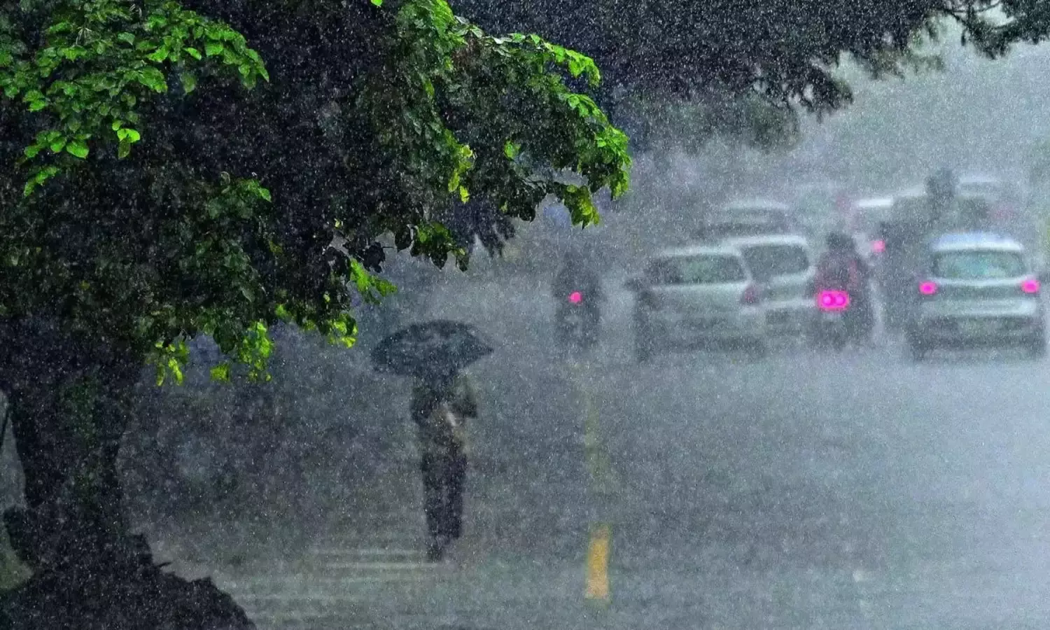 tamilnadu heavy rain
