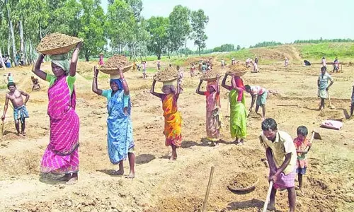 100 நாள் வேலைத்திட்டத்தில் தமிழகத்துக்கு 3-வது இடம்