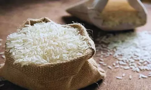 rice