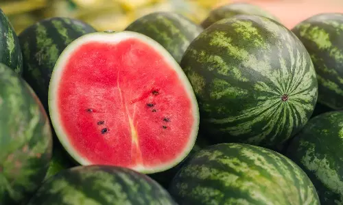 இதயம், சிறுநீரகத்தை பாதுகாக்கும் தர்பூசணி