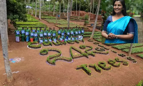 கேரளாவை விட தமிழகத்தில் ஜாதிக்காய் நன்றாக விளையும்! - சொப்னா கல்லிங்கல்