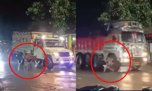 பரபரப்பான சாலையில் நாற்காலி போட்டு அமர்ந்த நபர்: அடுத்து நடந்த விபரீதம்- வீடியோ