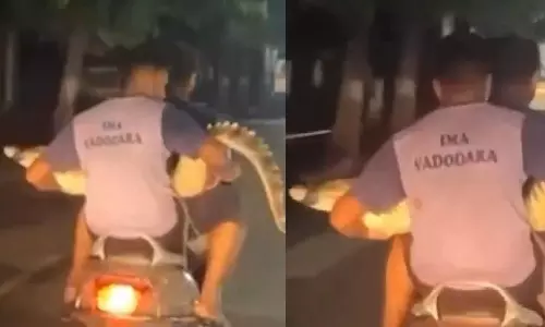 அதை கையிலா எடுத்துச் செல்வது..  முதலையோடு சாலையில் சென்ற ஸ்கூட்டர் -வீடியோ