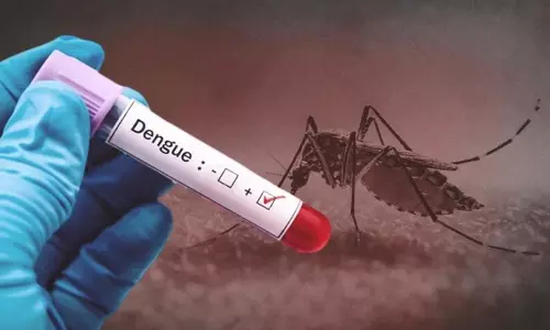 புதுக்கோட்டை மாவட்டத்தில் 3 வயது சிறுமி உள்பட 5 பேருக்கு டெங்கு பாதிப்பு