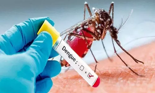 டெங்கு காய்ச்சலா? உங்கள் சந்தேகங்களை 104 என்ற எண்ணில் கேட்கலாம்!
